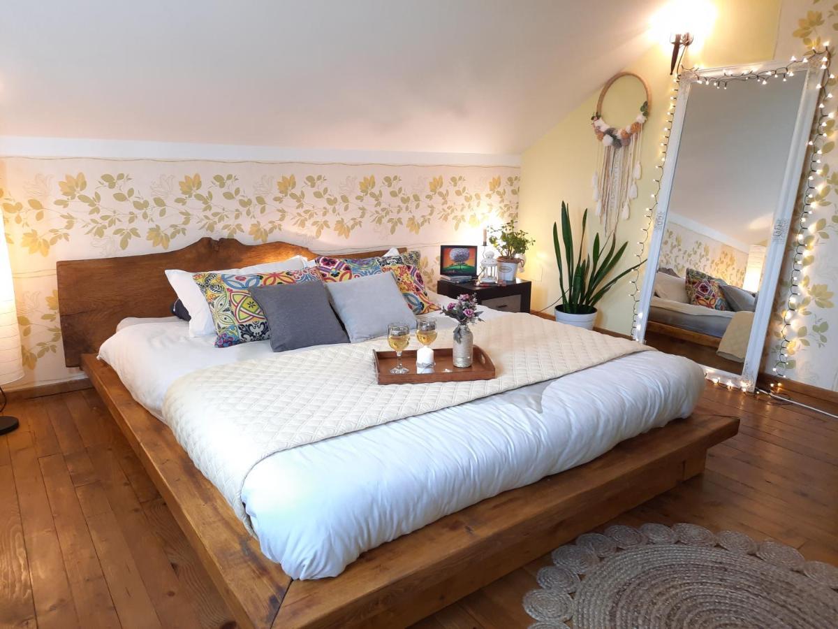Vintage And Cozy Room, Free Parking, Shared House In The Small Quiet Village 阿尔巴·尤利亚· 外观 照片